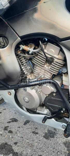 Honda Transalp 600 V PD 10