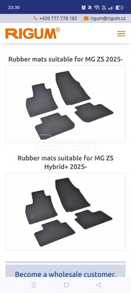 Tipske gumene patosnice