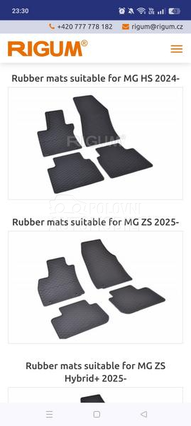 Tipske gumene patosnice