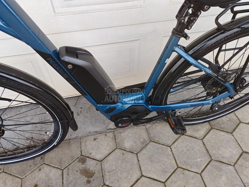 Pegasus Solero Bosch