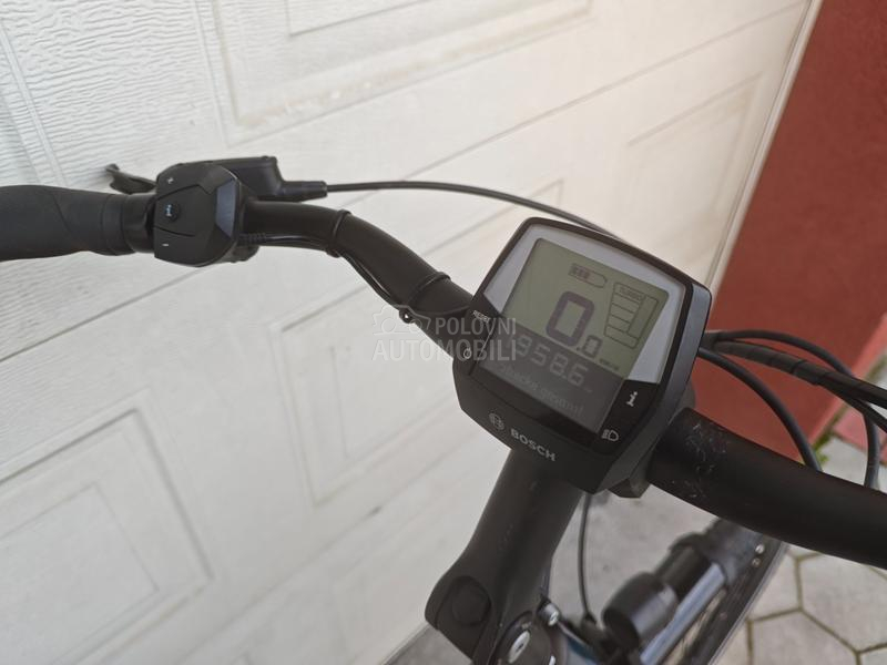 Pegasus Solero Bosch