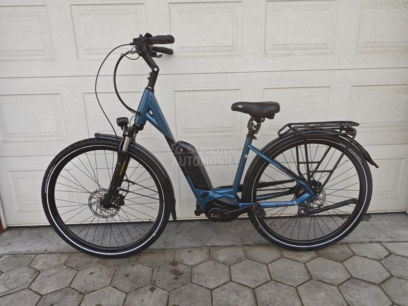 Pegasus Solero Bosch