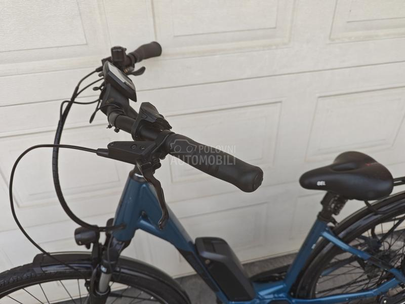 Pegasus Solero Bosch