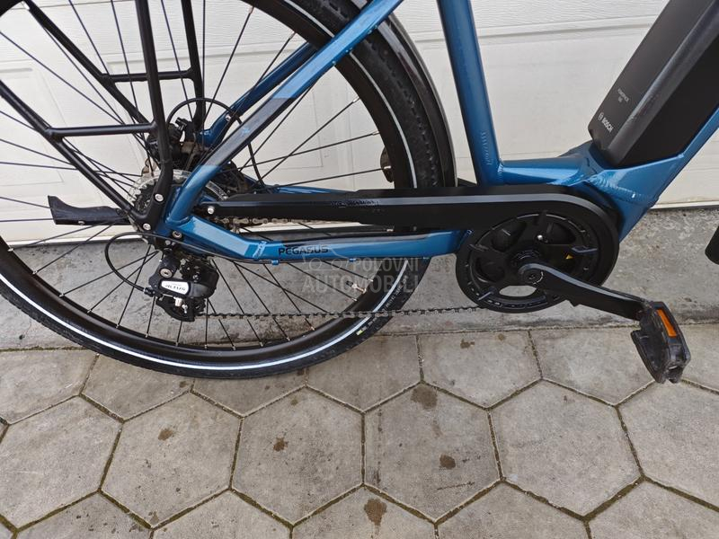 Pegasus Solero Bosch