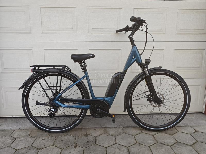 Pegasus Solero Bosch