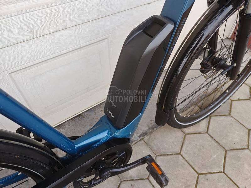 Pegasus Solero Bosch