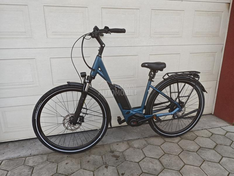 Pegasus Solero Bosch