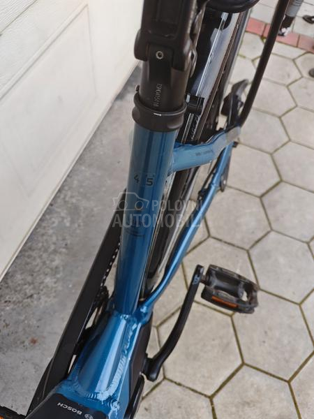 Pegasus Solero Bosch