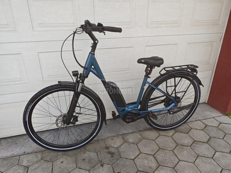 Pegasus Solero Bosch