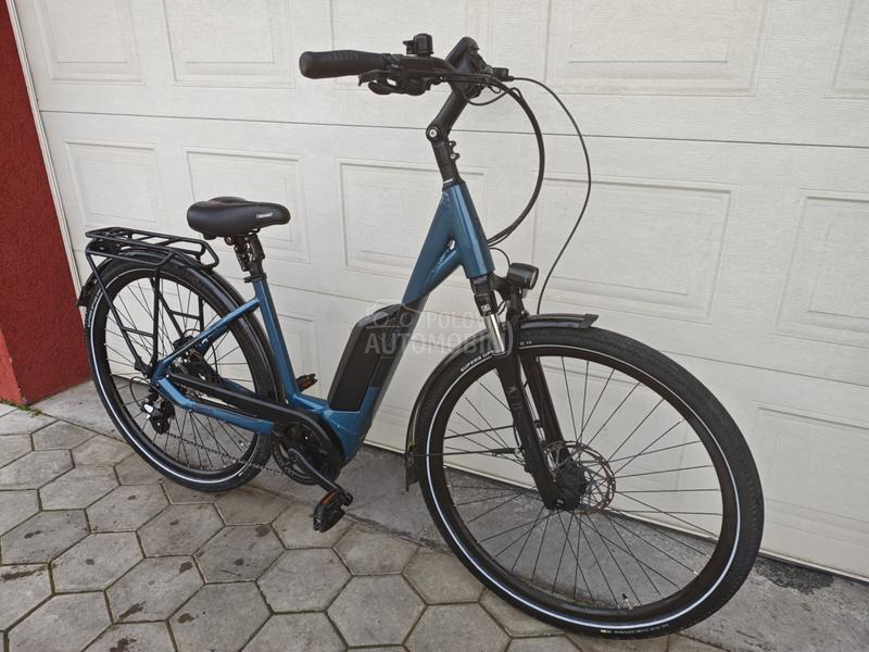 Pegasus Solero Bosch