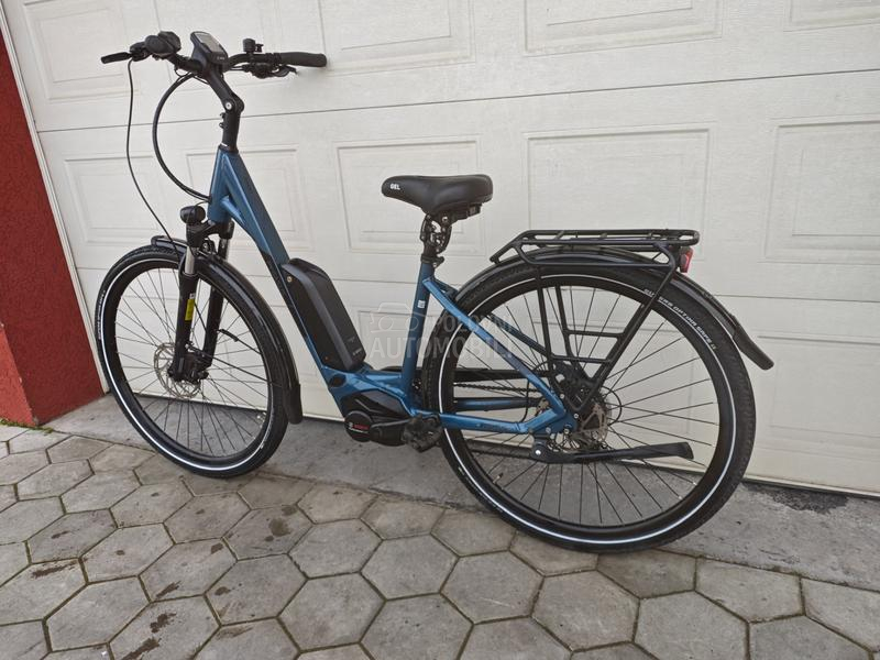 Pegasus Solero Bosch