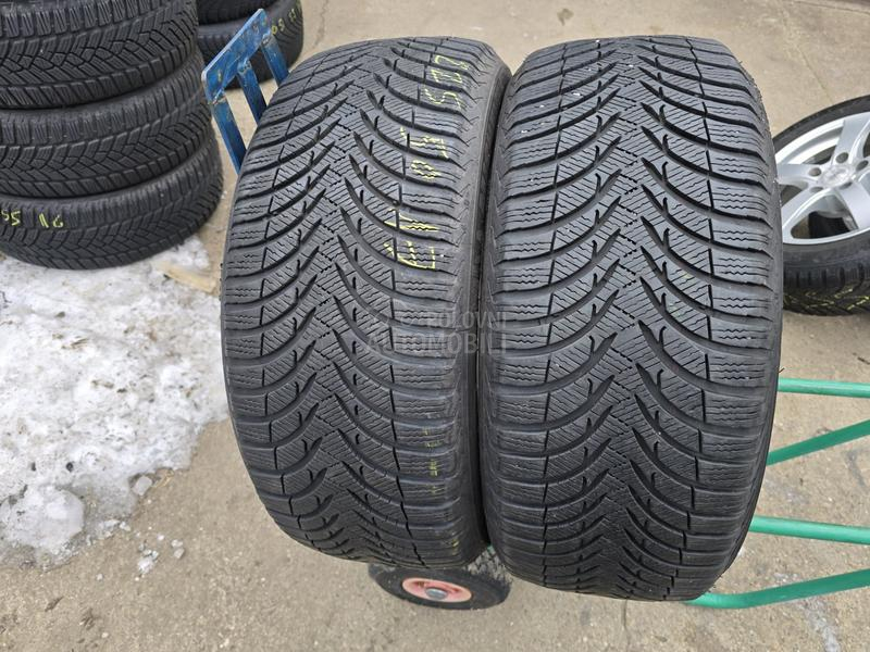 Michelin 225/50 R17 Zimska