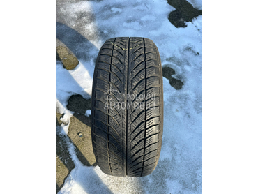 Goodyear 225/55 R17 Zimska
