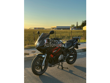 Suzuki gs500f