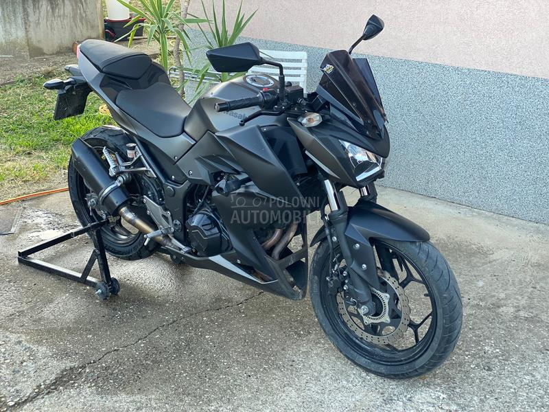 Kawasaki z300