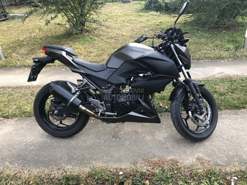 Kawasaki z300
