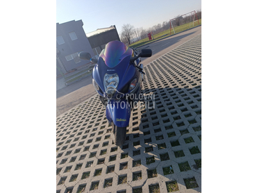Suzuki hayabusa