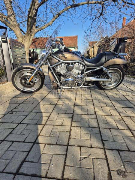 Harley Davidson VRSCA VROD