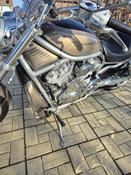 Harley Davidson VRSCA VROD