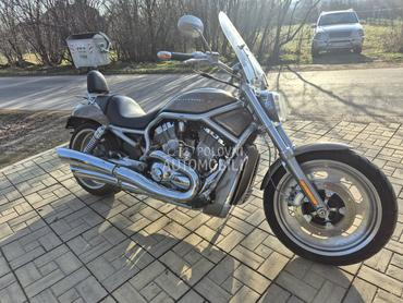 Harley Davidson VRSCA VROD