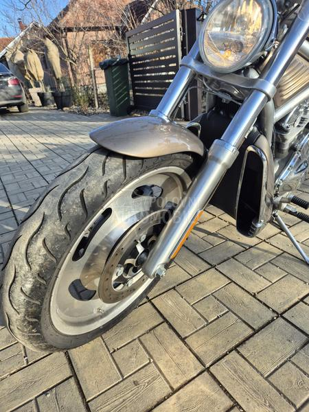 Harley Davidson VRSCA VROD