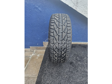 Taurus 205/50 R17 Zimska