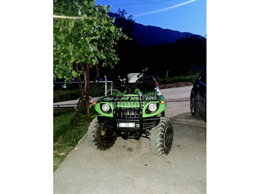Arctic Cat 650