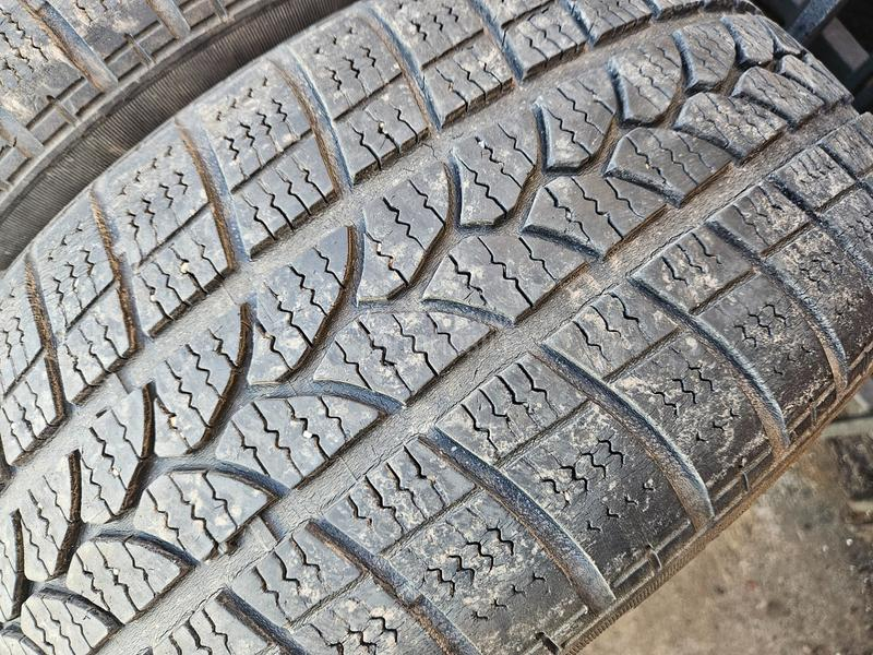 Tigar 215/50 R17 Sve sezone