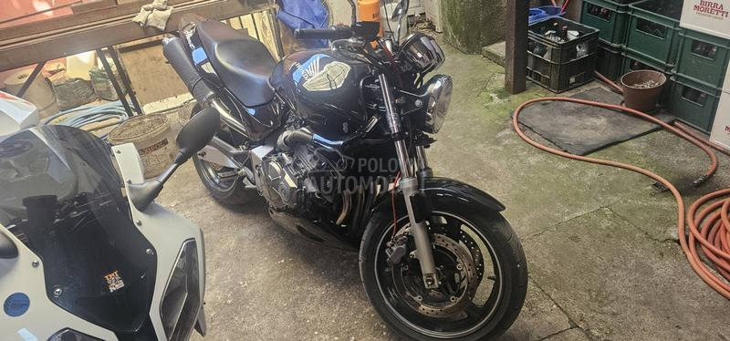 Honda Hornet 600