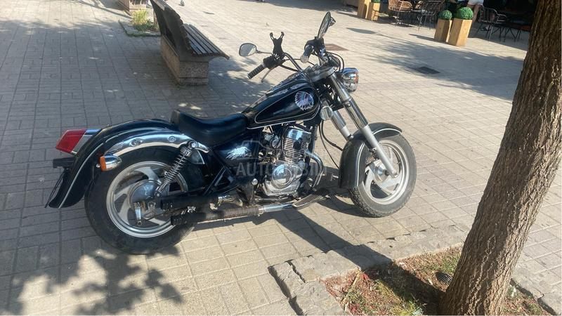 Sprint Knight Adam 125