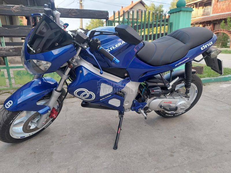 Gilera DNA