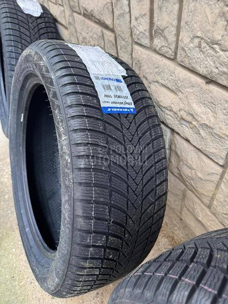 Triangle 255/50 R20 Zimska