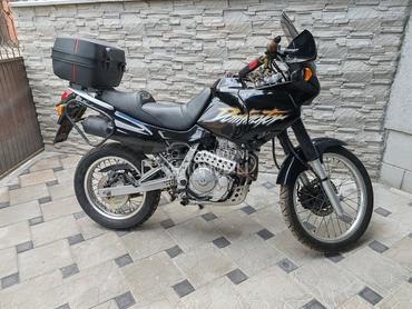 Honda Dominator