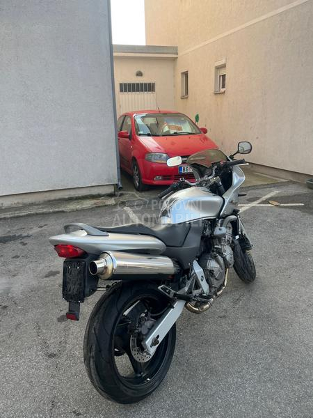 Honda hornet