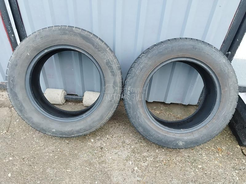 Taurus 195/65 R15 Zimska