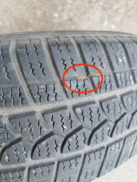 Taurus 195/65 R15 Zimska