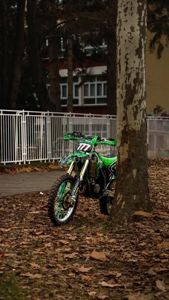 Kawasaki kx