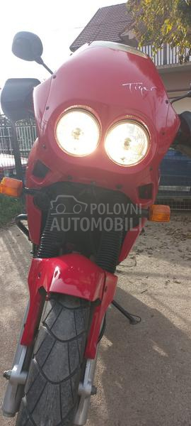 Triumph Tiger