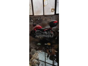 Daytona Motors Monster 125