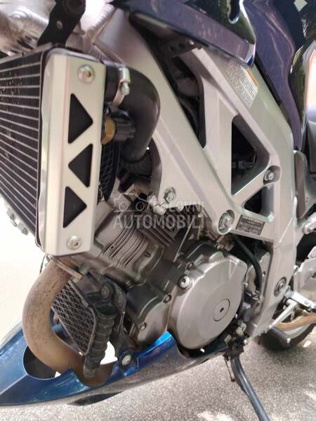 Suzuki SV1000S