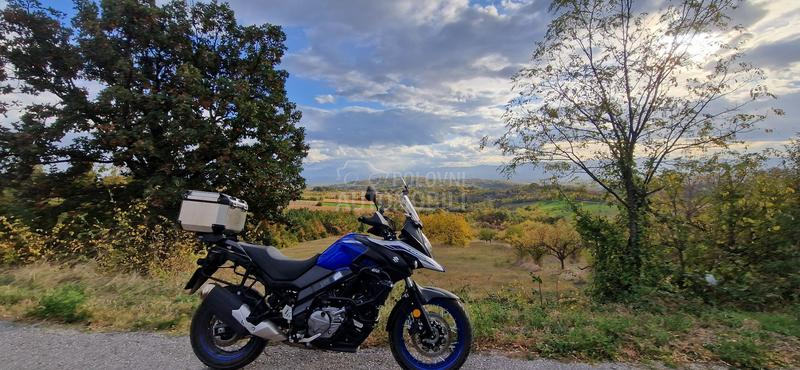 Suzuki v strom