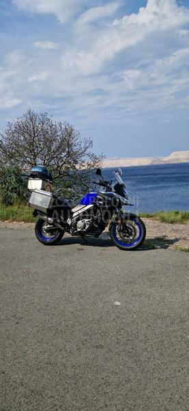 Suzuki v strom