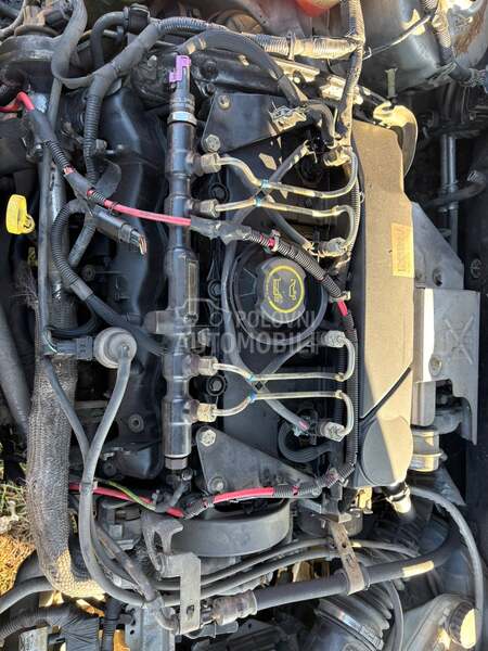 Glava motora 2,0 tdci