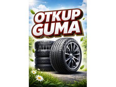 Michelin 215/55 R17 Sve sezone