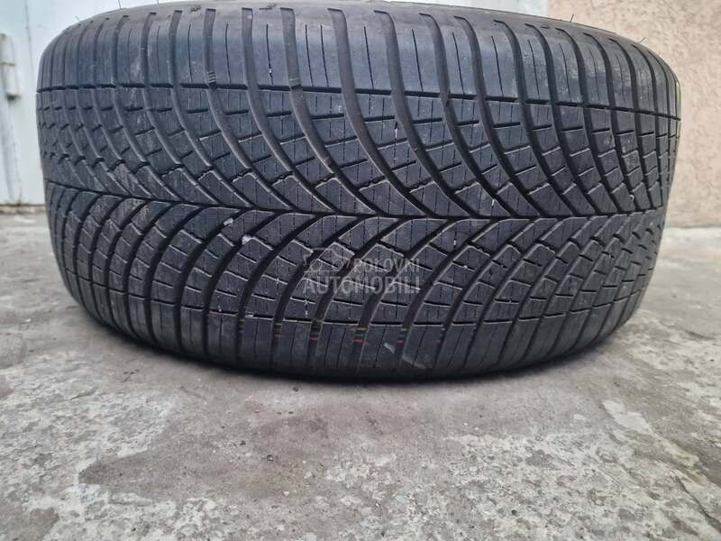 Goodyear 245/40 R19 Sve sezone