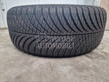Goodyear 195/55 R15 Sve sezone
