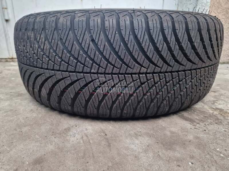 Goodyear 195/55 R15 Sve sezone