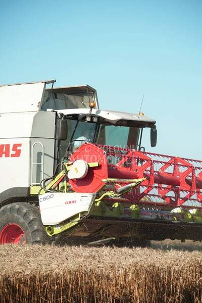 Claas Lexion 530