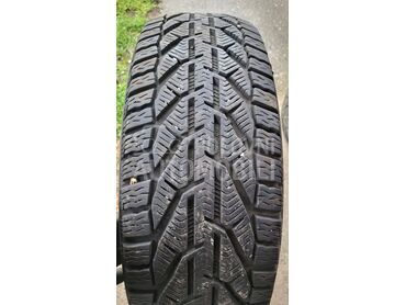 Riken 205/60 R16 Zimska