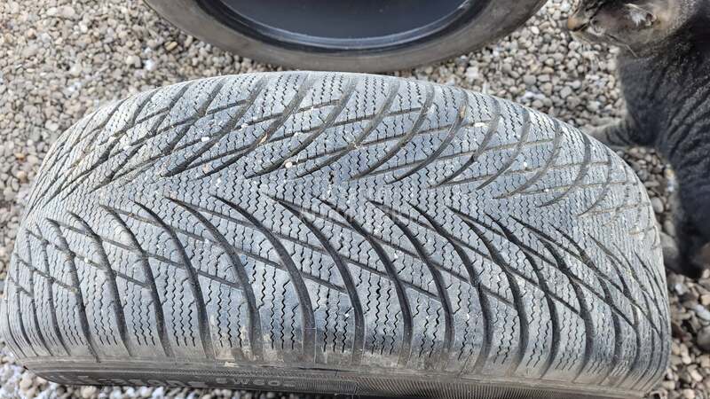 Westlake 195/60 R15 Sve sezone
